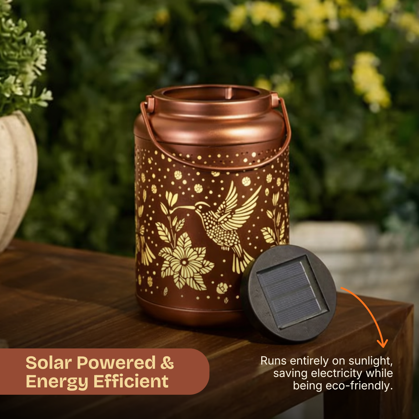 Solar Hummingbird Lantern