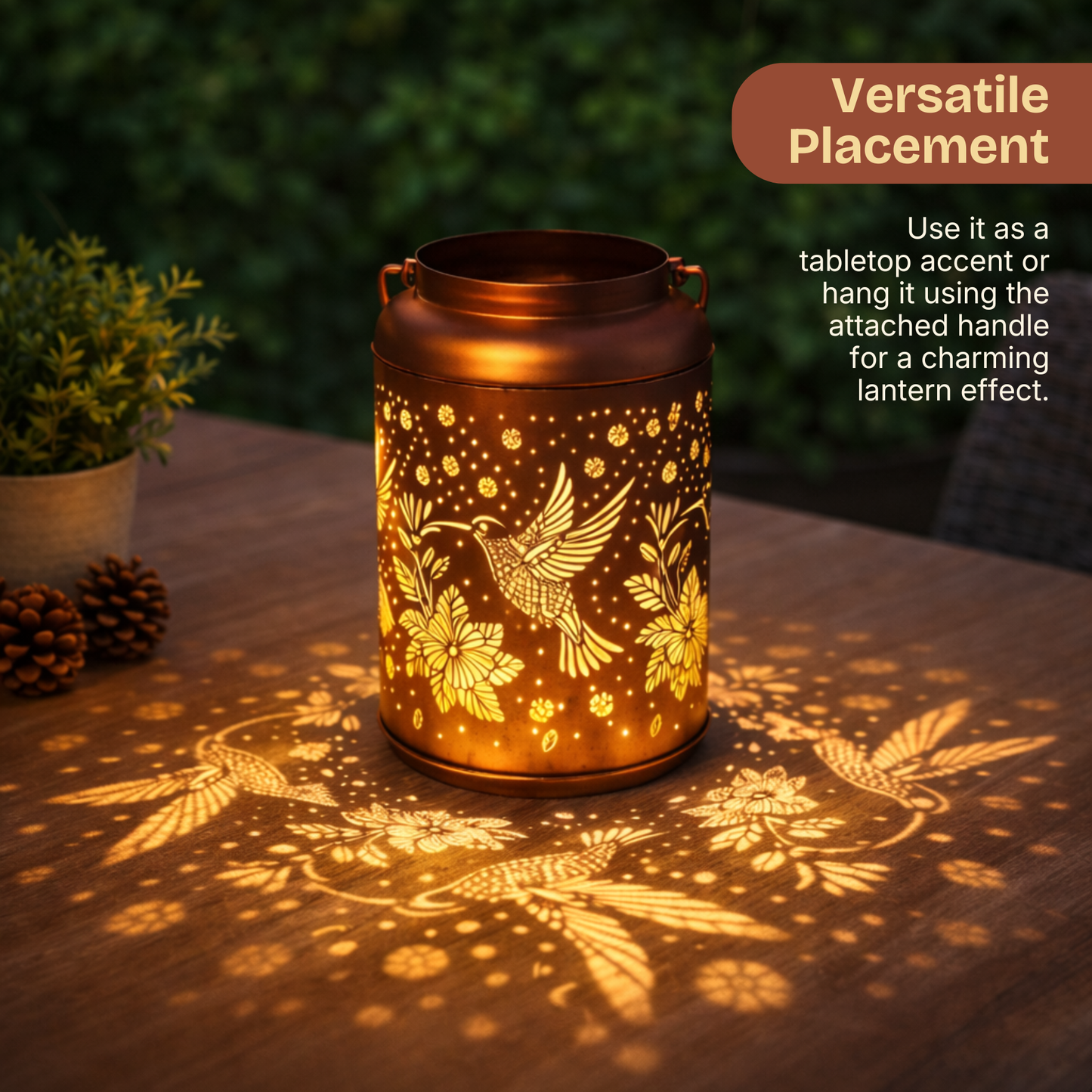 Solar Hummingbird Lantern