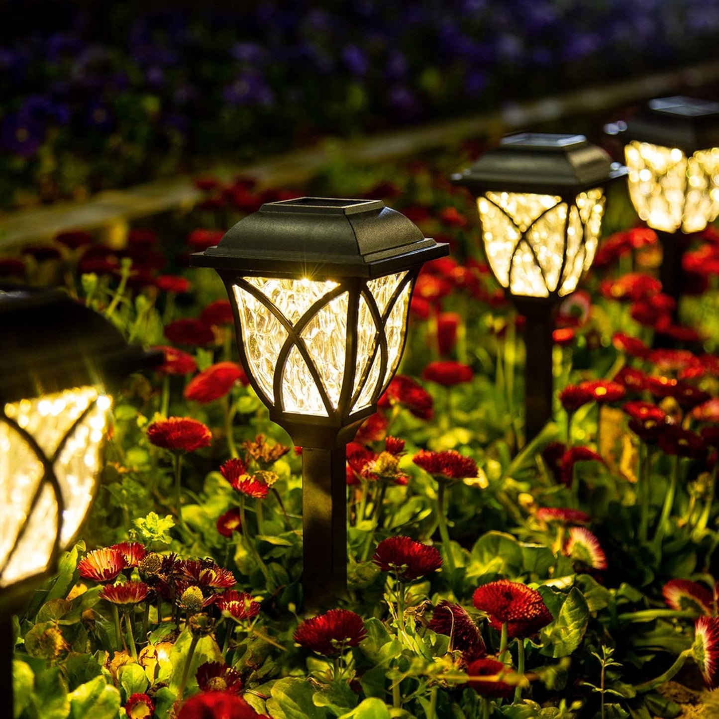 Luminous Pathway Solar Lights
